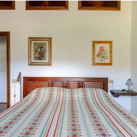 Divinae Cintoia Villa Greve in Chianti Exterior photo